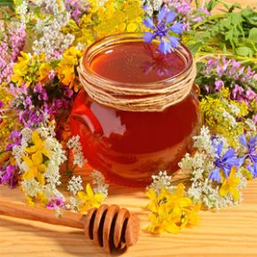 Forty plants honey