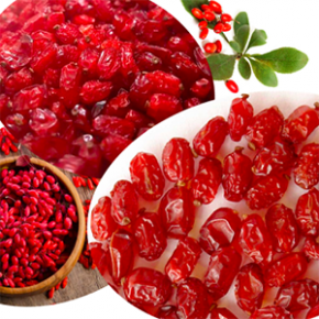 Barberry