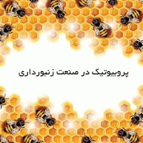 Probiotics for bees